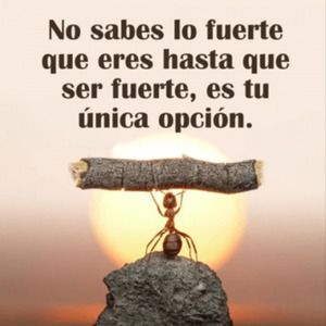 Meet your Posher, Maro